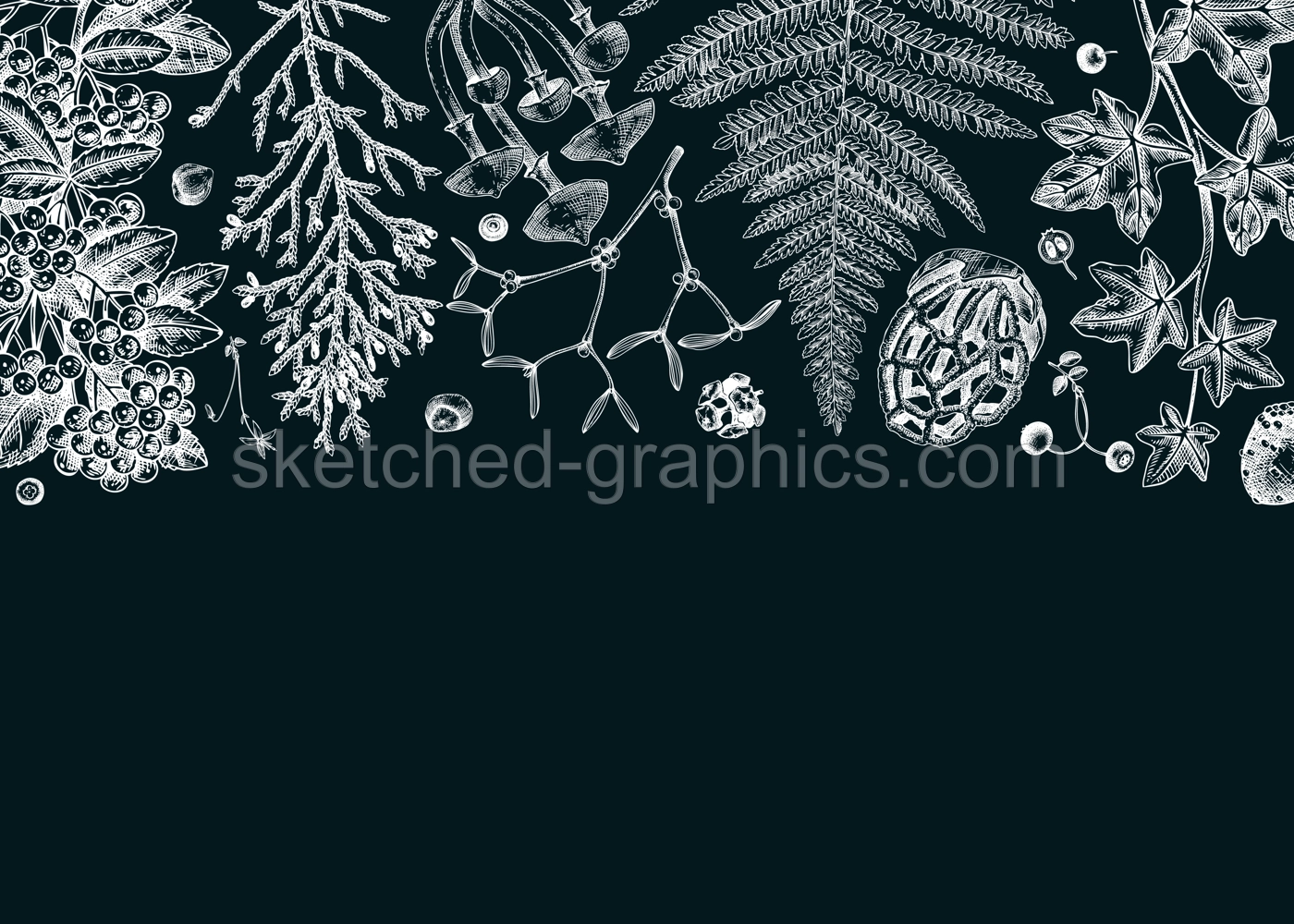 Hand drawn autumn background on chalkboard. Vintage frame with ferns, forest mushrooms, fall leaves and autumn plant sketch. Botanical design template in engraved style. Vector woodland illustration Illustration